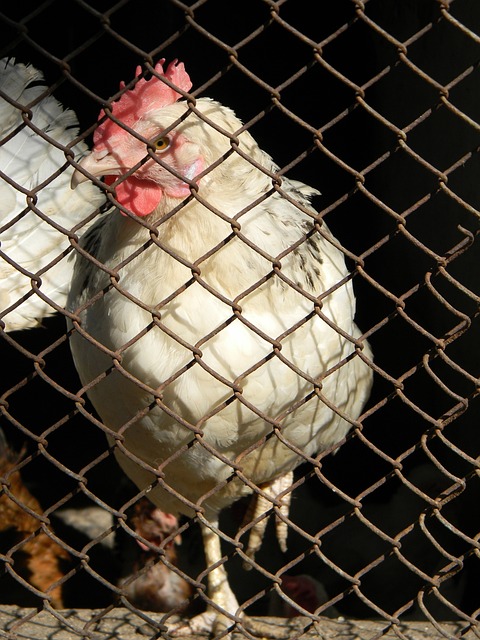 的做法表明 的做法表明