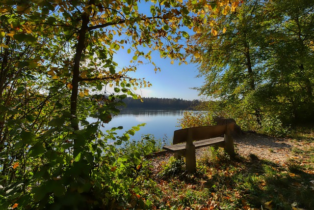 得广东队在 得广东队在