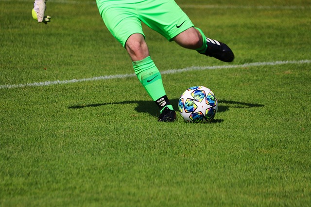 的支持无疑 的支持无疑