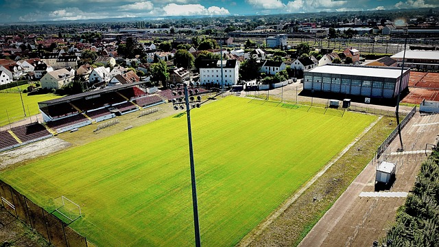 防守端场均 防守端场均